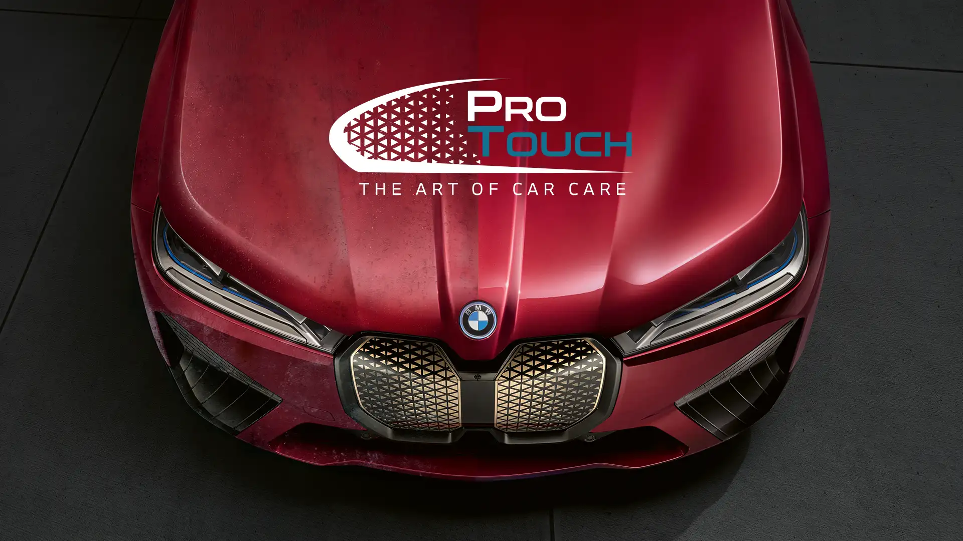 Protouch - BMW Tunas Loyalty Program copy