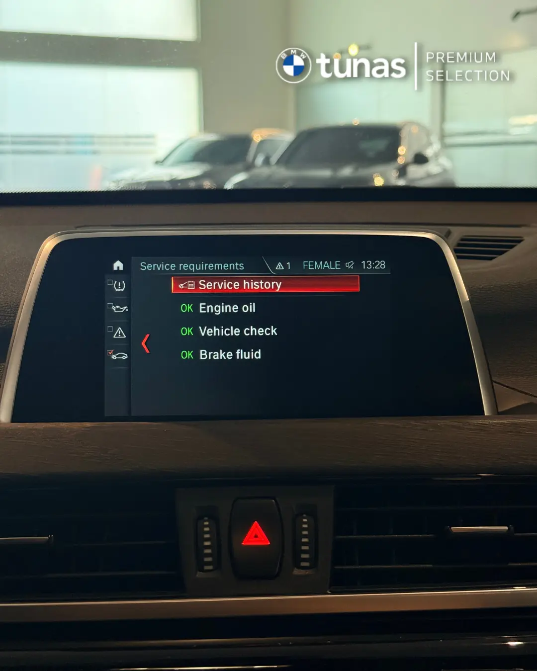 BMW X1 Xline